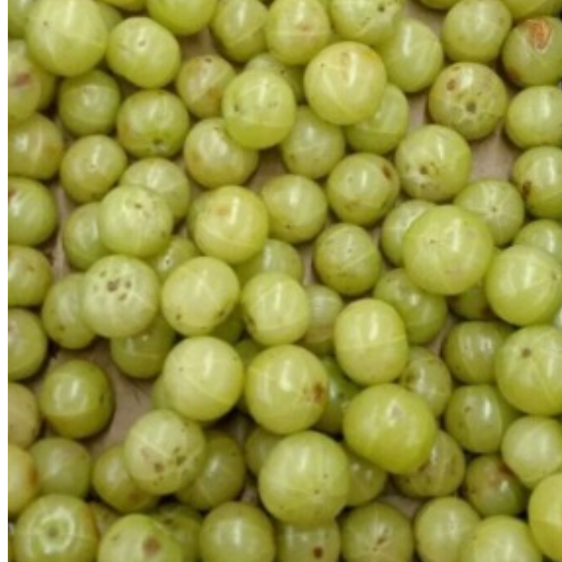 Amla Main Image